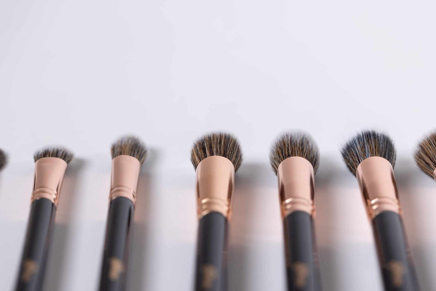 PRECISION FACE BRUSH SET - 10 PC